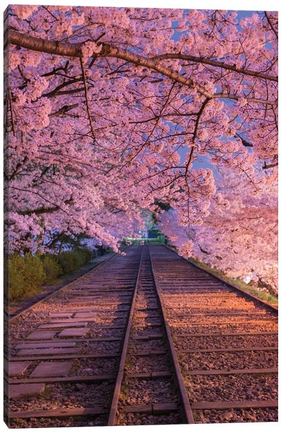Spring In Japan VIII Canvas Art Print - Art by Asian Artists