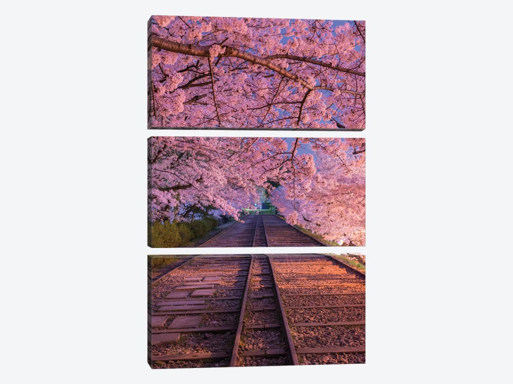 Spring In Japan VIII 3-piece Canvas Wall Art