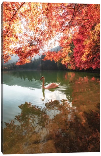 Autumn In Japan V Canvas Art Print - Daisuke Uematsu 