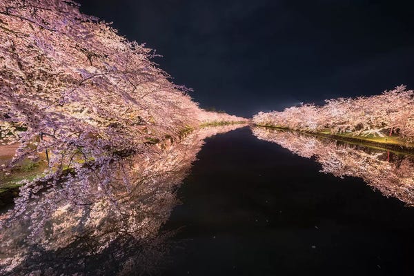 Daisuke Uematsu: Spring In Japan XIII by Daisuke Uematsu