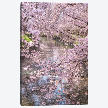 Spring In Japan XV Canvas Print #DUE65} by Daisuke Uematsu Canvas Wall Art
