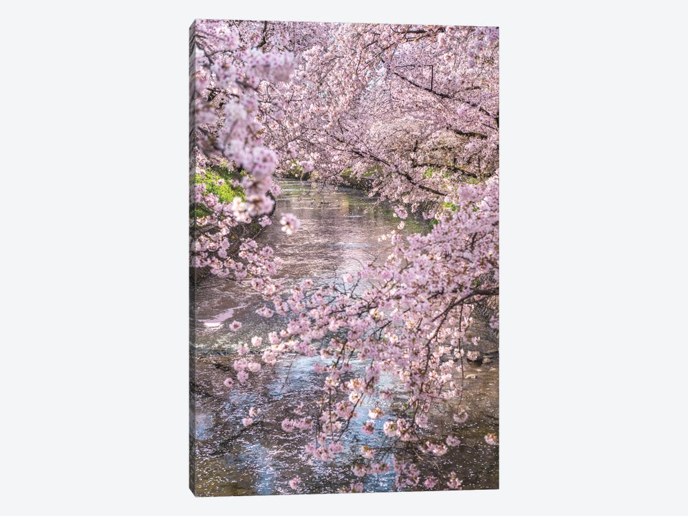 Spring In Japan XV by Daisuke Uematsu 1-piece Canvas Artwork