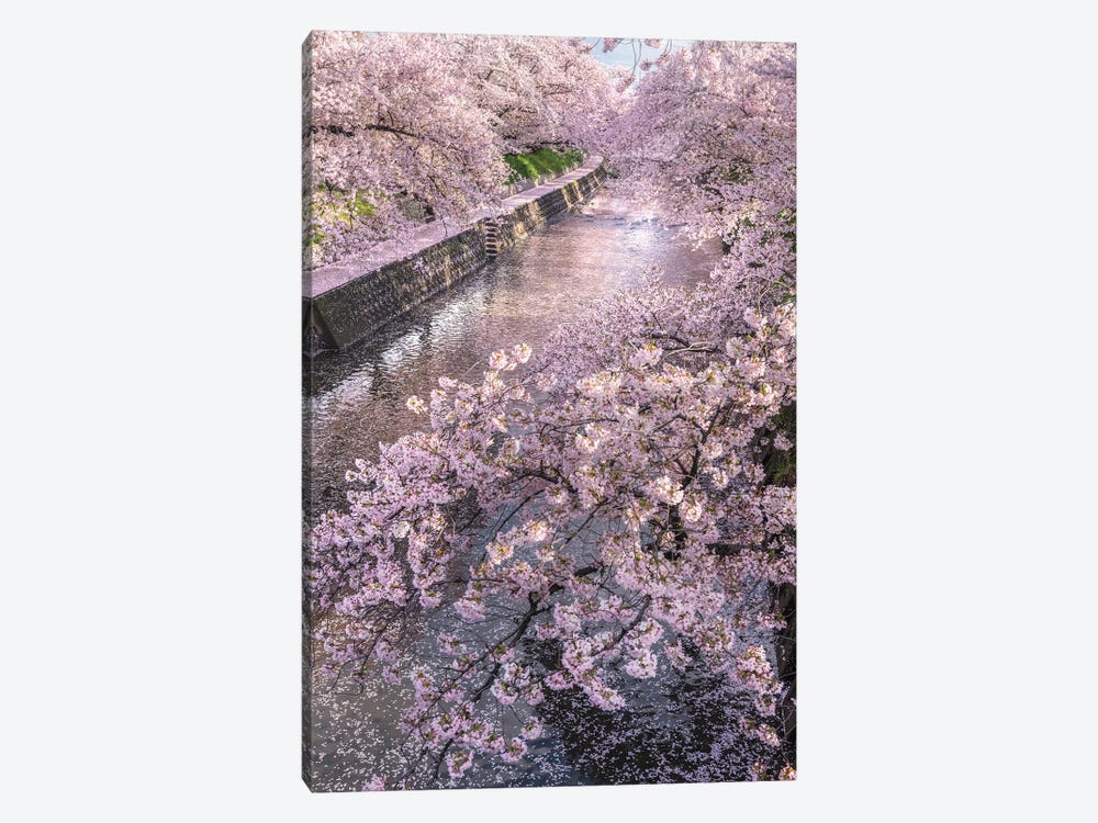 Spring In Japan XVI by Daisuke Uematsu 1-piece Art Print