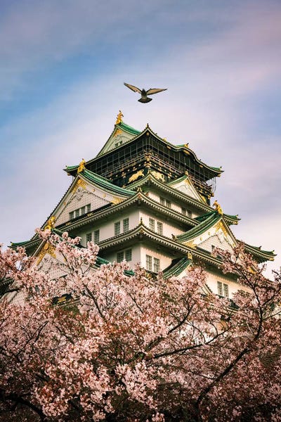 Spring In Japan XVIII