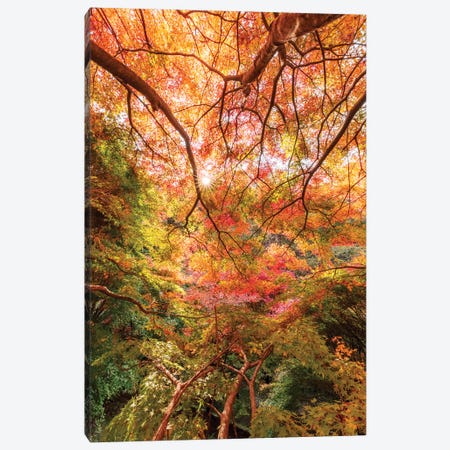 Autumn In Japan VI Canvas Print #DUE6} by Daisuke Uematsu Art Print