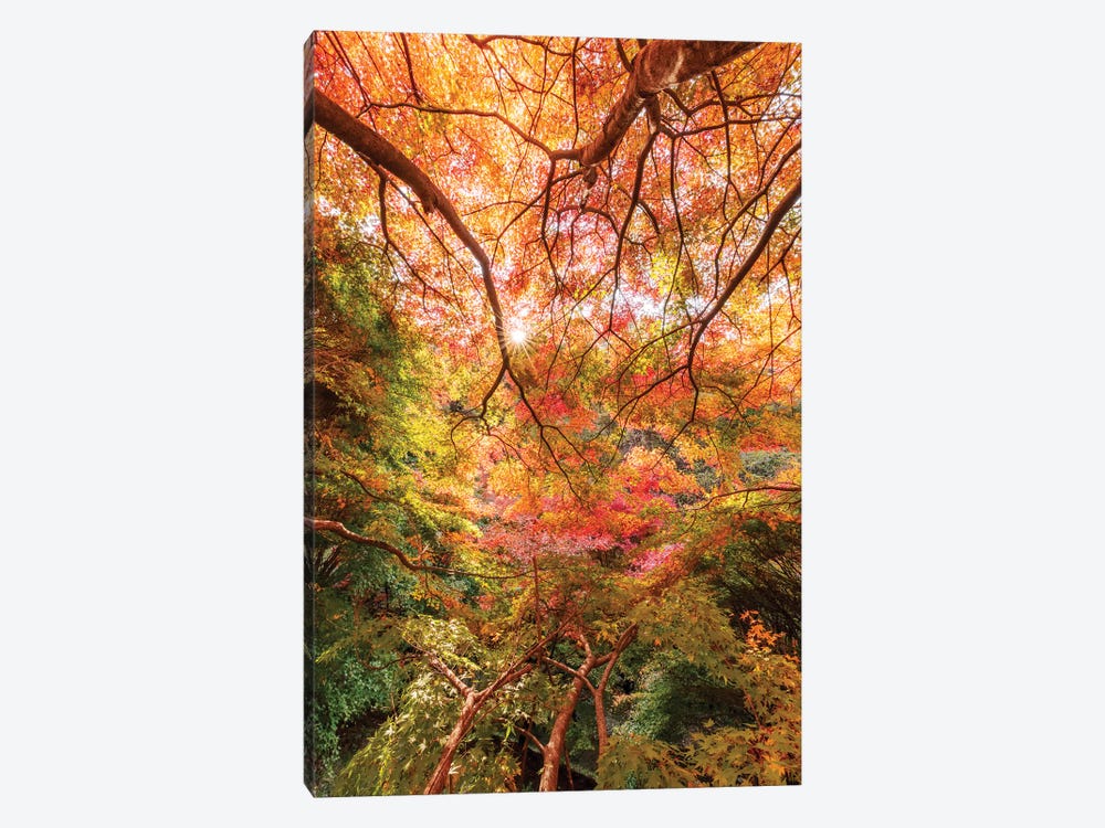 Autumn In Japan VI by Daisuke Uematsu 1-piece Canvas Print