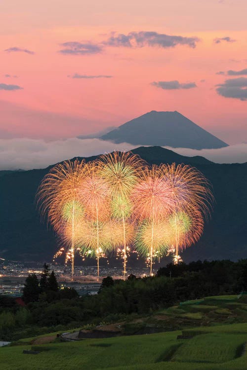 Summer In Japan V