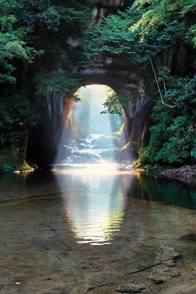 Ponds: Summer In Japan VII by Daisuke Uematsu