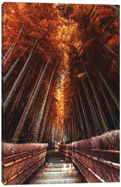 Summer In Japan IX Canvas Art Print - Arashiyama Bamboo Forest