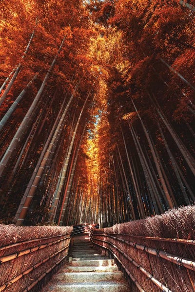 Arashiyama Bamboo Forest: Summer In Japan IX by Daisuke Uematsu