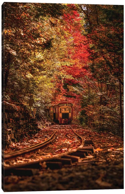 Autumn In Japan VI Canvas Art Print - Train Art