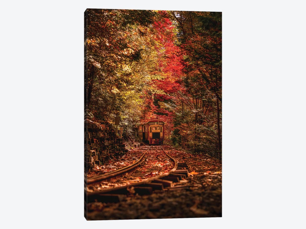 Autumn In Japan VI 1-piece Canvas Artwork
