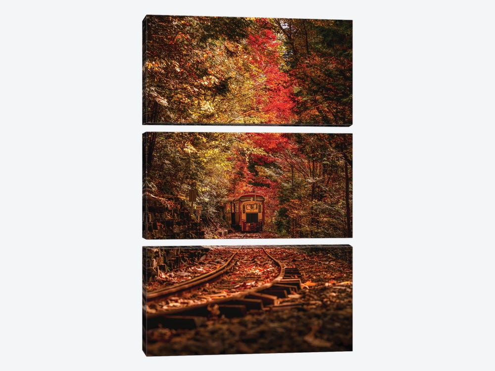Autumn In Japan VI by Daisuke Uematsu 3-piece Canvas Artwork