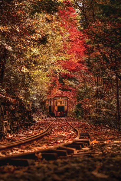 Autumn In Japan VIII