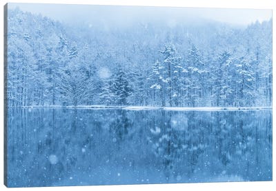 Winter In Japan III Canvas Art Print - Daisuke Uematsu 