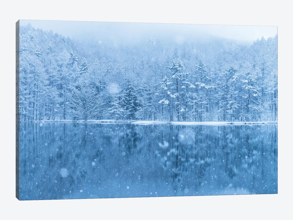 Winter In Japan III by Daisuke Uematsu 1-piece Canvas Print