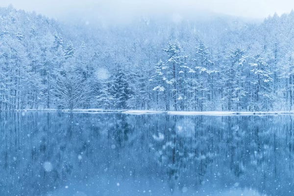 Snowscapes: Winter In Japan III by Daisuke Uematsu