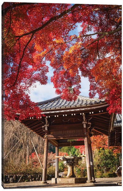 Autumn In Japan XX Canvas Art Print - Daisuke Uematsu 
