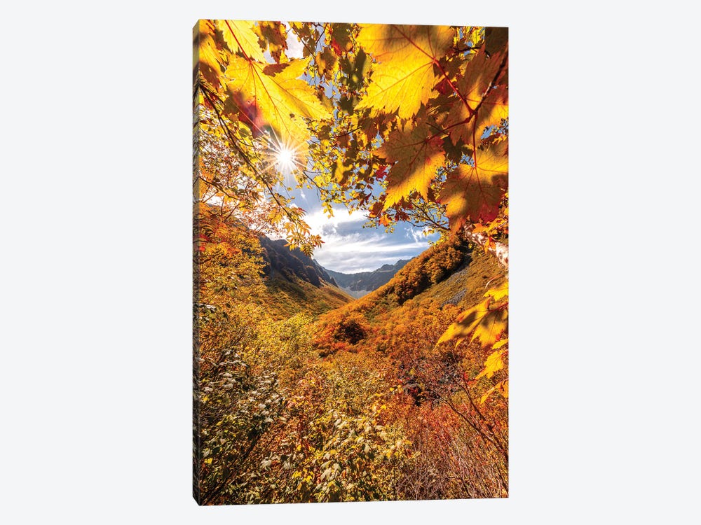 Autumn In Japan VII by Daisuke Uematsu 1-piece Art Print