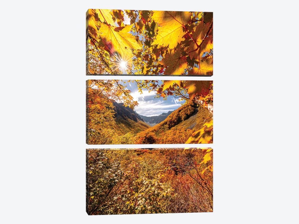 Autumn In Japan VII by Daisuke Uematsu 3-piece Art Print