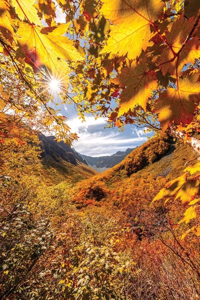 Daisuke Uematsu: Autumn In Japan VII by Daisuke Uematsu