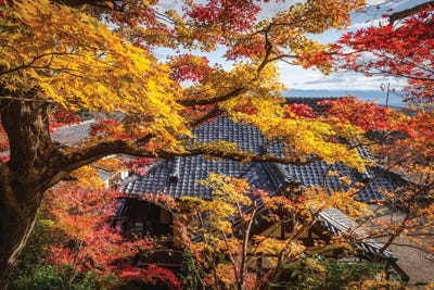 Autumn In Japan XXIV by Daisuke Uematsu framed wall art
