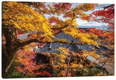 Autumn In Japan XXIV Canvas Art Print - Tree Close-Up Art