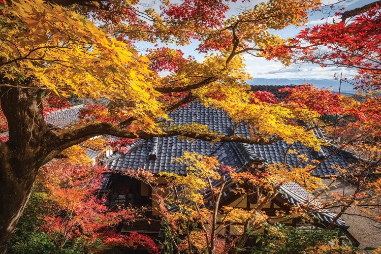 Autumn In Japan XXIV