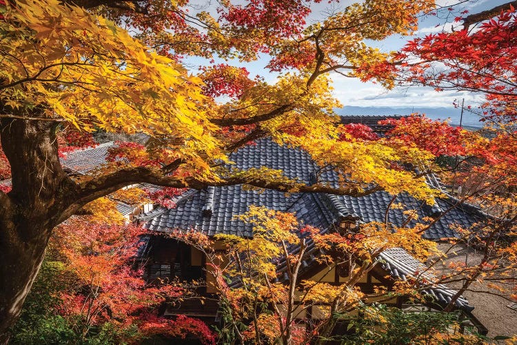 Autumn In Japan XXIV by Daisuke Uematsu wall art