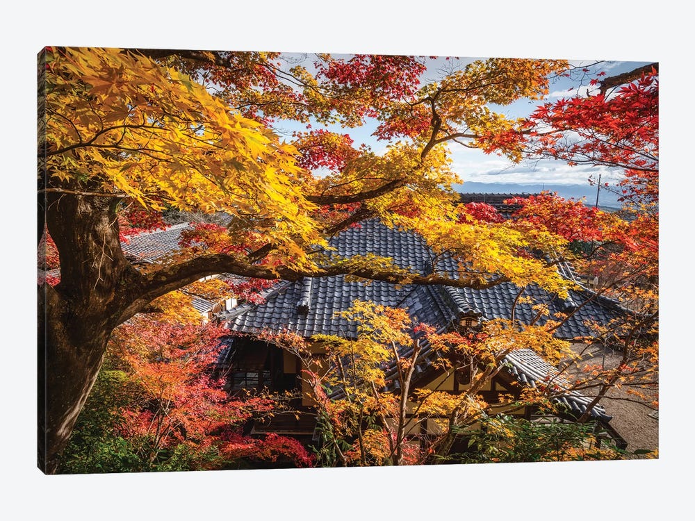Autumn In Japan XXIV by Daisuke Uematsu 1-piece Canvas Art Print