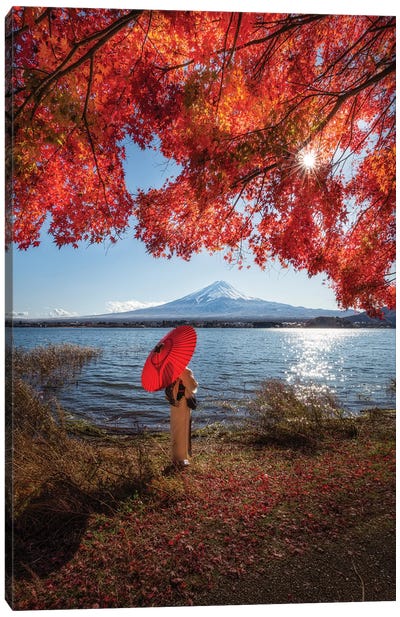Autumn In Japan XXIX Canvas Art Print - Daisuke Uematsu 