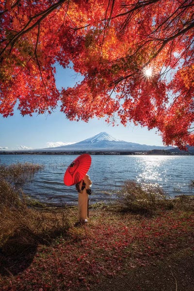 Daisuke Uematsu: Autumn In Japan XXIX by Daisuke Uematsu