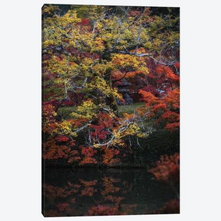 Autumn In Japan XXV Canvas Print #DUE95} by Daisuke Uematsu Art Print