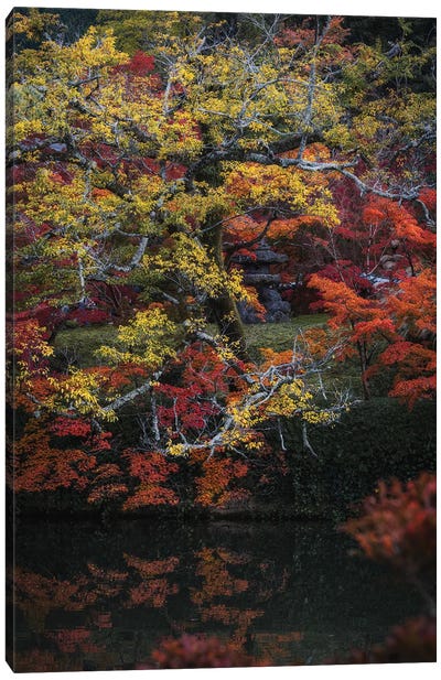 Autumn In Japan XXV Canvas Art Print - Daisuke Uematsu 