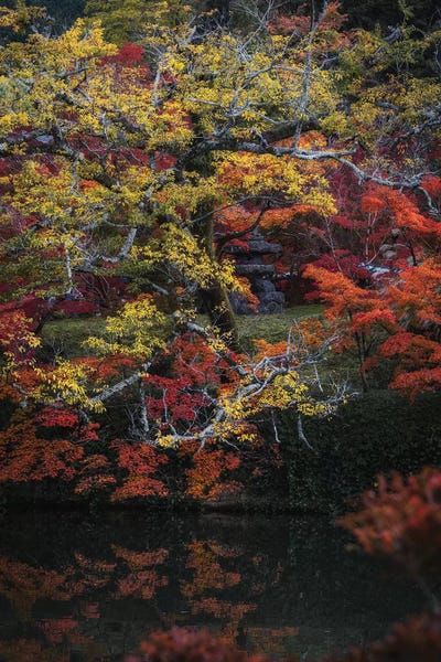 Daisuke Uematsu: Autumn In Japan XXV by Daisuke Uematsu