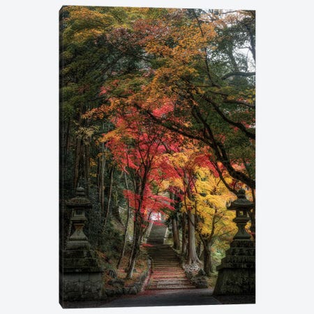 Autumn In Japan XXVI Canvas Print #DUE96} by Daisuke Uematsu Art Print