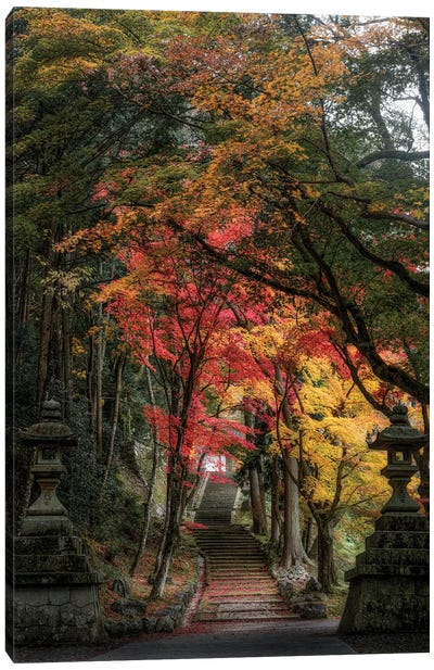 Autumn In Japan XXVI Canvas Art Print - Daisuke Uematsu 