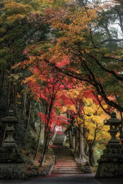 Daisuke Uematsu: Autumn In Japan XXVI by Daisuke Uematsu