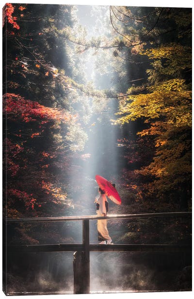 Autumn In Japan XXVII Canvas Art Print - Daisuke Uematsu 