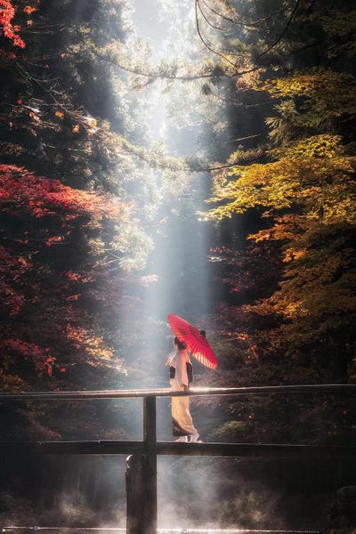 Daisuke Uematsu: Autumn In Japan XXVII by Daisuke Uematsu