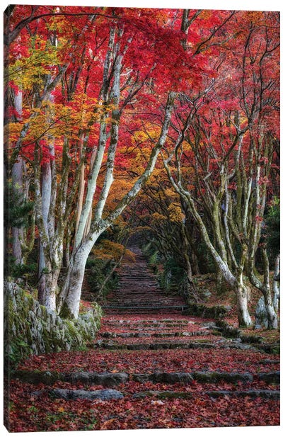 Autumn In Japan XXVIII Canvas Art Print - Daisuke Uematsu 