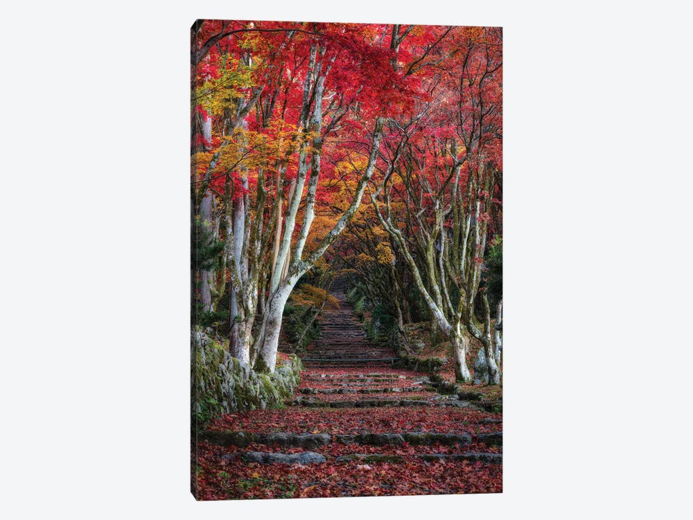 Autumn In Japan XXVIII by Daisuke Uematsu 1-piece Canvas Artwork
