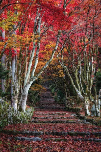 Daisuke Uematsu: Autumn In Japan XXVIII by Daisuke Uematsu