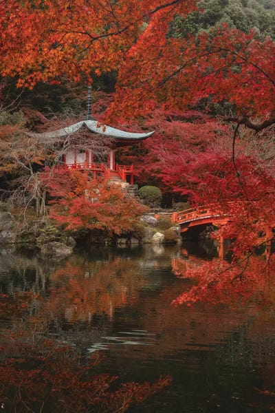Daisuke Uematsu: Autumn In Japan XXX by Daisuke Uematsu