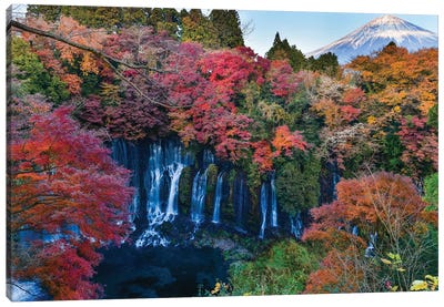 Autumn In Japan IX Canvas Art Print - International Cuisine