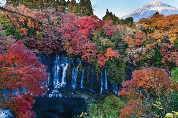 Daisuke Uematsu: Autumn In Japan IX by Daisuke Uematsu