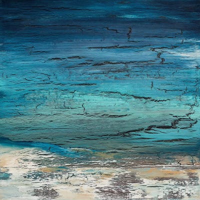 Winter's Approach by Alicia Dunn canvas print