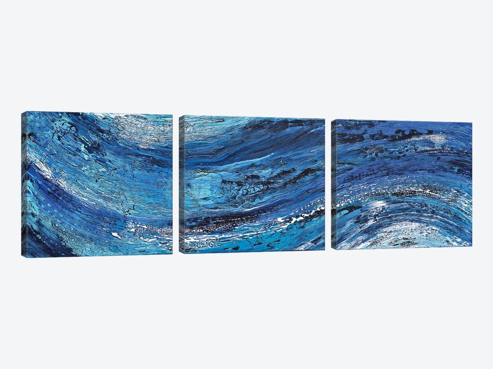 Ecstasy in Motion by Alicia Dunn 3-piece Canvas Print