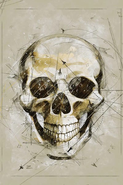 Skull Sketch by Durro Art metal wall art