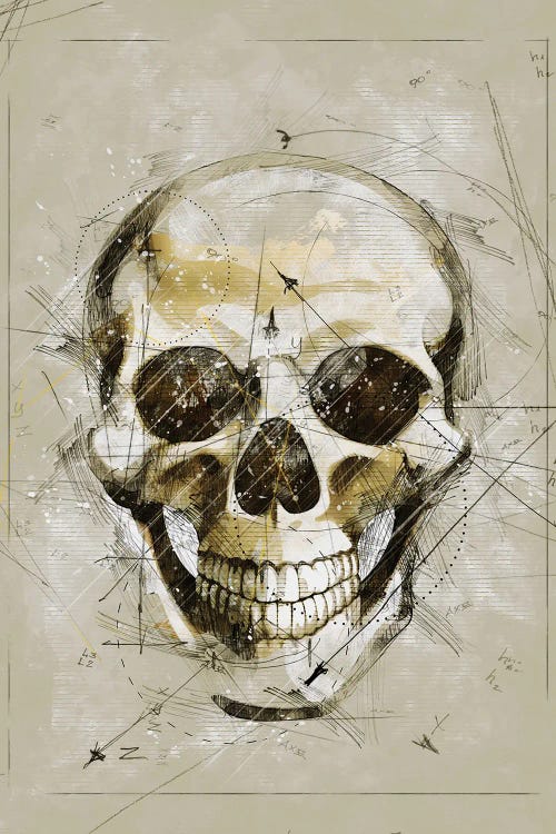 Skull Sketch